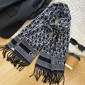 Louis Vuitton LV Dior Scarf（16 styles)-0281  